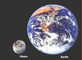 images_110